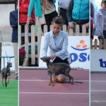Dusty-wroc