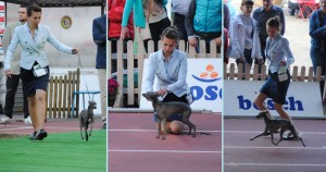 Dusty-wroc
