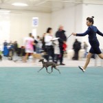 eirwen2