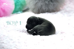 boy1-1day