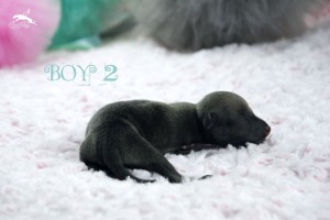 boy2-1day