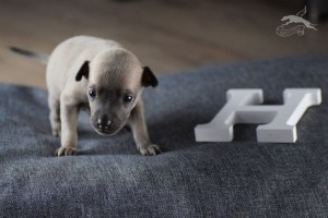boy2