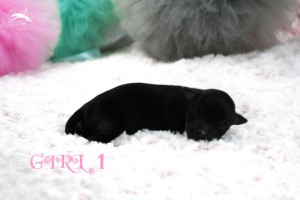 girl1-1day