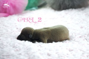 girl2-1day