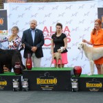 Alba Iulia - 2