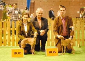 shab-bob