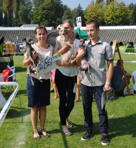 team